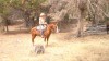 Wyatt Smith on Lonsum Star Leo X Latigo X Heleo Pistol 3-year-old gelding