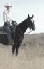 Click to Enlarge Photo Cuff Linx 045 ridden by Wyatt Pearce