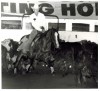 Jody Fairfax at the King Ranch Championship Cutting January 1982